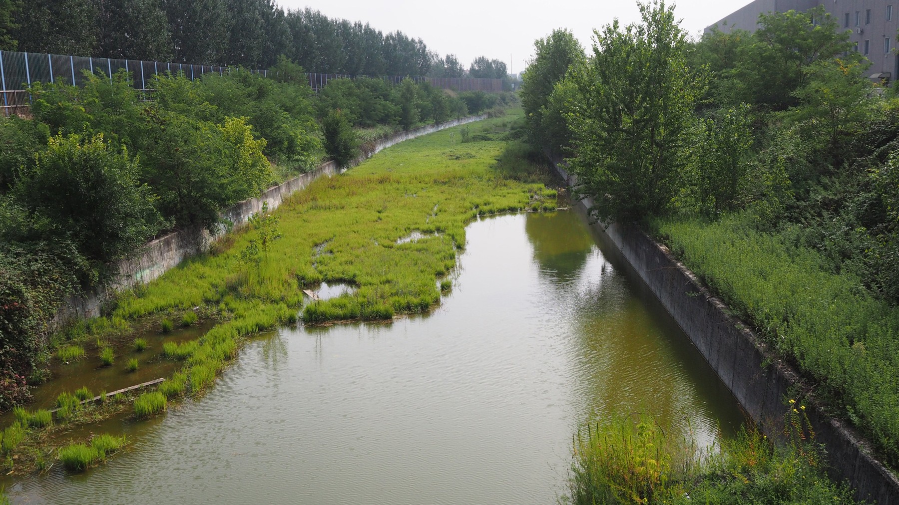 tethys - consulenza ambientale e idrogeologica - Valutazione del rischio di allagamento da esondazioni del fiume Lambro